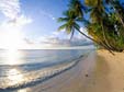 sole spiaggia mare palme palma